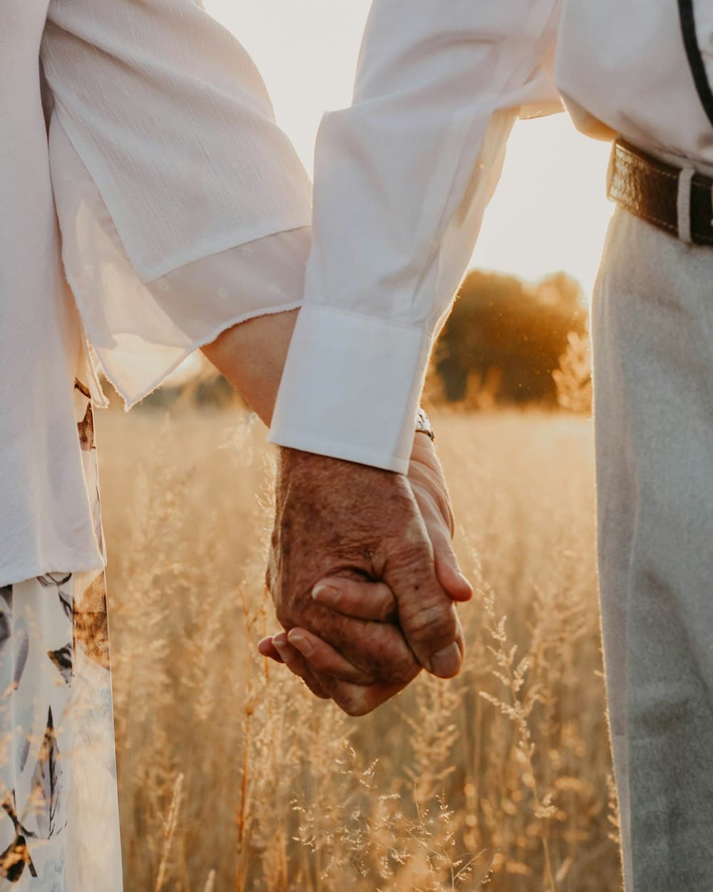 Un couple âgé se tient tendrement la main dans un champ doré au coucher du soleil, gros plan sur leurs mains